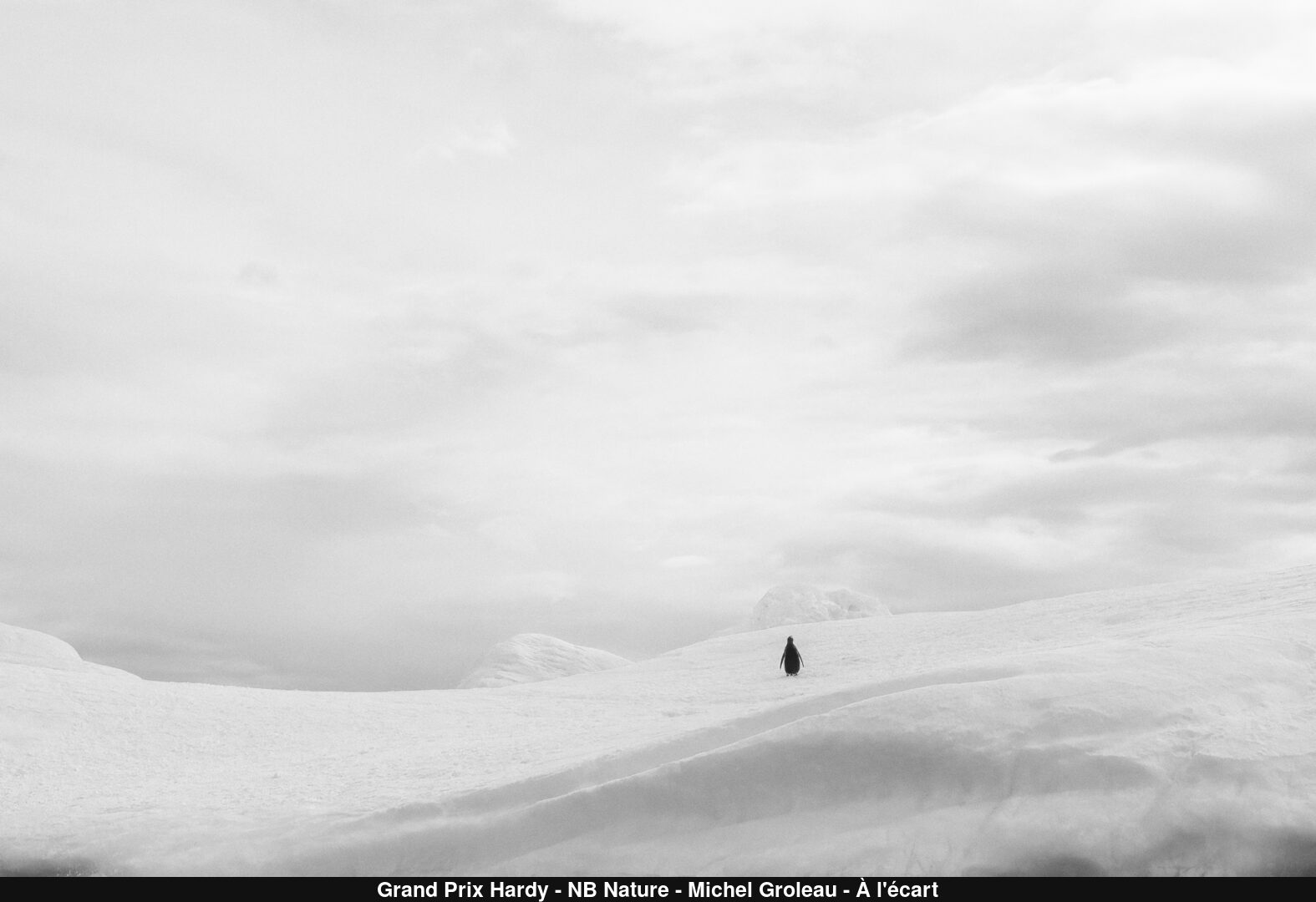 (C) Auteur de la photographie - Respectez le droit d'auteur