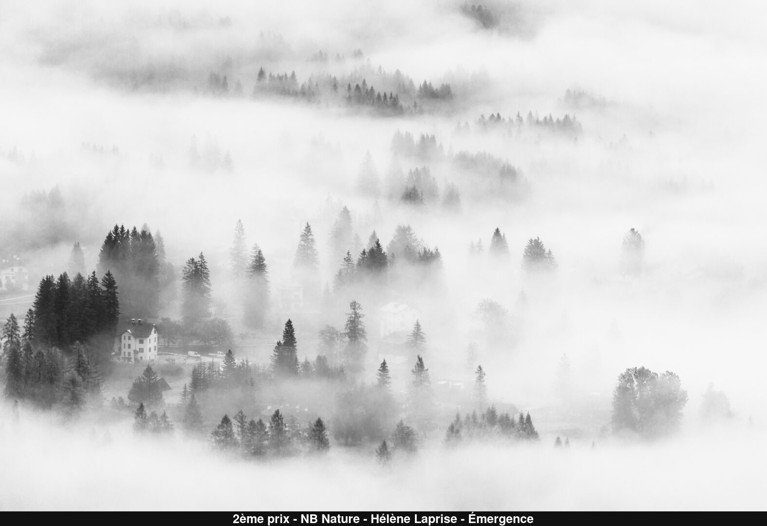 (C) Auteur de la photographie - Respectez le droit d'auteur